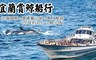 宜蘭賞鯨船行 6.2折! - 賞鯨船行-假日不加價