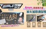 17LIFE 6.7折! - 最新財源滾滾特大加厚滑鼠墊