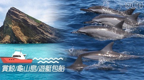 賞鯨烏石傳奇號 6.1折! - 尋訪鯨豚