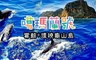 噶瑪蘭賞鯨 6.3折! - 單人票一張