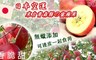 17LIFE 7.9折! - 日本無蠟脆甜青森蜜蘋果
