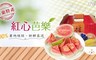 家購網嚴選 6.2折! - 屏東特產紅心胭脂芭樂 5斤禮盒