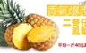 17LIFE 6.7折! - 香氣爆表二冬仔鳳梨