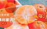 17LIFE 8.4折! - 苗栗卓蘭爆汁佛利蒙柑禮盒