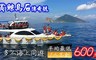 賞鯨烏石傳奇號 6.1折! - 海上賞鯨豚×多人同樂專案