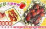 麥麥先生 7.1折! - 重量級草莓盒蛋糕