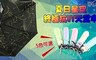 17LIFE 5.0折! - 夏日星空抗UV傘