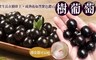 17LIFE 7.0折! - 嘉寶果樹葡萄(600g/盒)