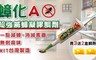 上黏 5.5折! - 蟑化A滅蟑螂凝膠餌劑10g