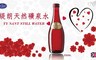 Ty Nant 緹朗 5.7折! - 英國緹朗天然礦泉水(330ml/瓶)