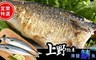 上野物產 3.7折! - 宜蘭特選薄鹽鯖魚片