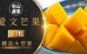 枋山盧家 5.5折! - 產銷履歷牛奶愛文芒果