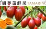 春霖山園 5.7折! - 樹番茄鮮果