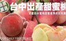 17LIFE 7.6折! - 台中高山甜蜜桃禮盒