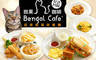 斑果咖啡 Bengal Cafe' 6.5折! - 超人氣單人獨享餐