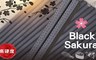17LIFE 4.3折! - 日式方形櫻花合金筷