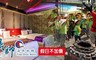 鼎帥溫泉旅館 2.0折! - 親子湯宿+趣味農村窯烤體驗