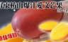 破盤爆殺！屏東枋山爆汁愛文芒果(20 7.0折! - 枋山爆汁愛文芒果(20-24入)x1箱