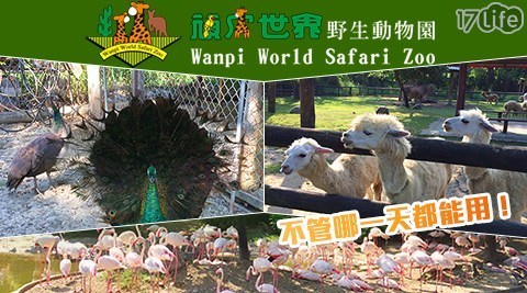 頑皮世界野生動物園 8.1折! - 單人全票入園券 乙張