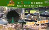 頑皮世界野生動物園 8.1折! - 單人全票入園券 乙張