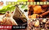 樂活e棧 7.9折! - 精選養生素粽系列