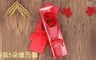 17LIFE 5.0折! - 蝴蝶結康乃馨香皂花香氛5朵(紅色)