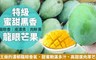 17LIFE  9.4折! - 限量特級黑香龍眼芒果