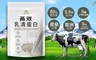 MIHONG® 8.3折! - 即溶式濃縮乳清蛋白(經典原味)