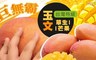 17LIFE 7.6折! - 台灣特級巨無霸草生玉文芒果