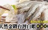 17LIFE 7.5折! - 生凍天然金鑽台灣白蝦