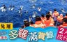 多羅滿 7.8折! - 賞鯨兩人成行券