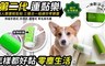 黑魔法 2.8折! - 超黏力第二代滾筒連黏樂套件組合