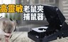 17LIFE 4.9折! - 高靈敏老鼠夾捕鼠器