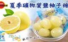 北日本 5.5折! - 夏季礦物質鹽柚子糖