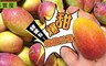 菓實屋 8.7折! - 爆甜枇杷芒果4台斤