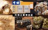 布田 10.0折! - 良陳吉實禮盒組六口味任選