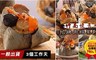 竹南懷舊 8.6折! - 古早味肉粽*2包+鮮嫩竹筍粽*2包