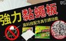 17LIFE 6.9折! - 強力黏蠅板