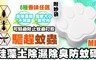 17LIFE 4.2折! - MIT珪藻土防蚊蟲防霉塊