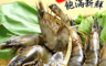 生活市集 3.7折! - 純淨鮮美活凍草蝦