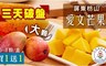 超人阿嬤 4.9折! - 屏東枋山外銷愛文(大)芒果禮盒