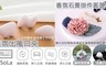 17LIFE 5.3折! - FaSoLa 香氛精油擴香石