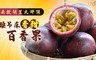 17LIFE 8.2折! - 南投埔里大坪頂睡吊床特級百香果