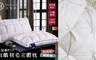 Hilton 希爾頓 3.5折! - 三層拋棄式口罩 (50片/袋裝)