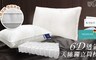 Hilton 希爾頓 2.2折! - VIP 6D立體透氣天絲獨立筒枕