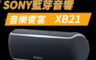 SONY 索尼 8.3折! - SRS-XB21 超低音可攜式防水藍牙喇叭