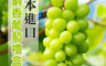 生活市集 5.4折! - 團購美食日本麝香葡萄禮盒