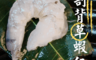 生活市集 2.7折! - 超大尾美味剖背草蝦仁