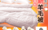 生活市集 2.5折! - 純小羊毛雙人冬被/厚棉被