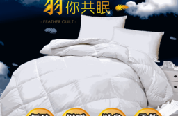 雙人天然水鳥羽毛絨被